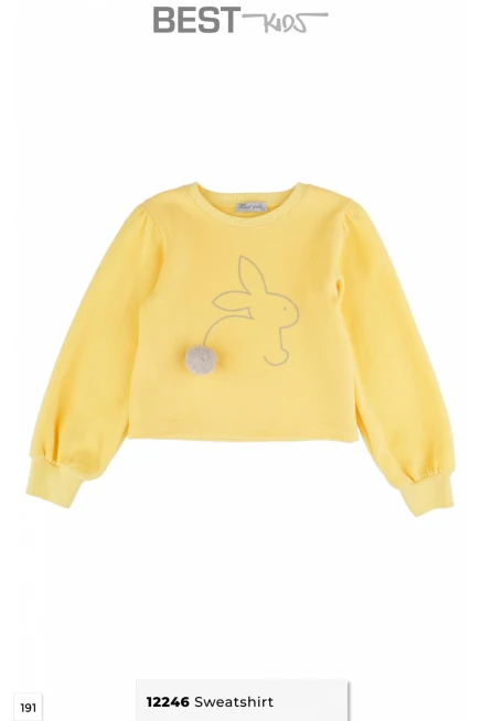 2-6 سنة فتاة تيشرت ثقيل