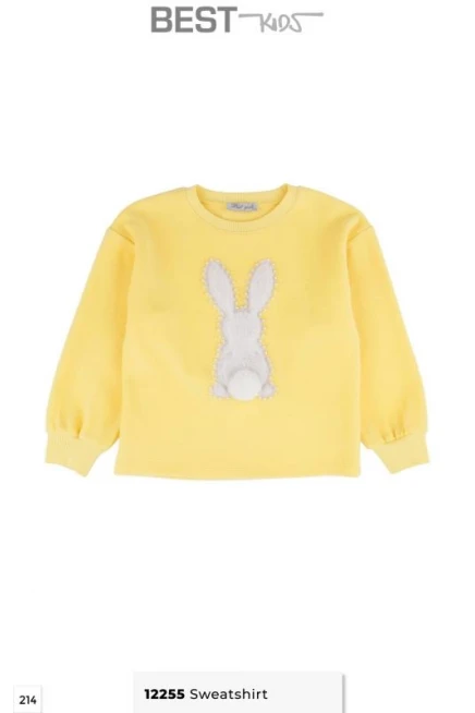 2-6 سنة فتاة تيشرت ثقيل