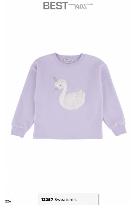 2-6 سنة فتاة تيشرت ثقيل