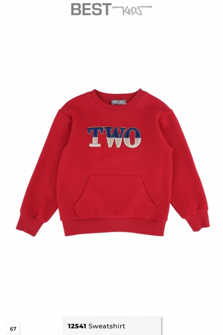 2-6 سنة فتاة تيشرت ثقيل