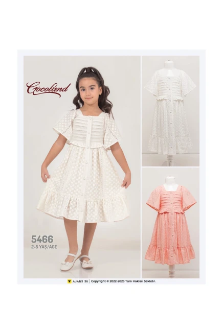 2-5 YEAR Girl Dress