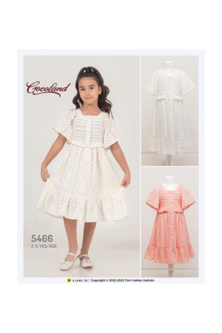 2-5 YEAR Girl Dress