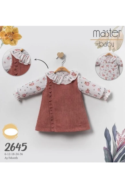 6-36 شهر فتاة فستان