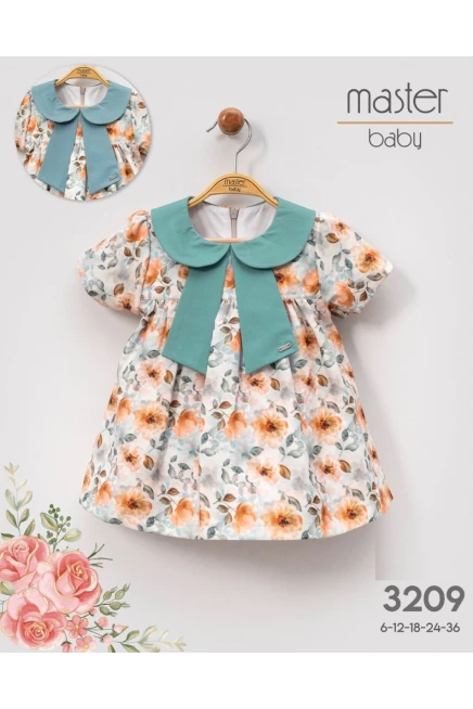 6-36 شهر فتاة فستان