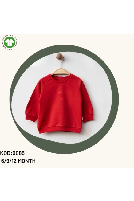 6-12 MONTH Unisex SWEATSHIRT
