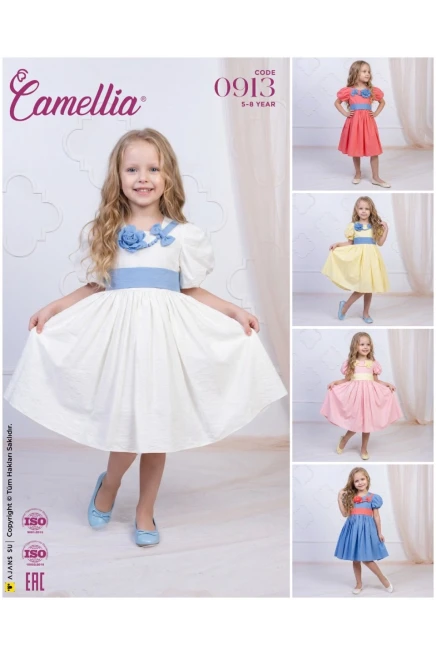 5-8 YEAR Girl Dress