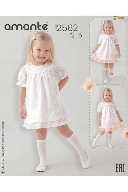 2-5 YEAR Girl Dress