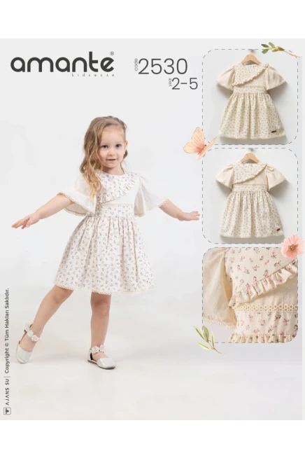 2-5 YEAR Girl Dress