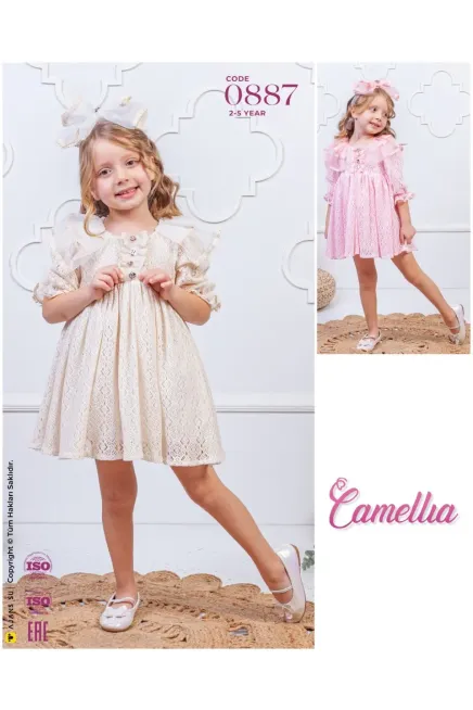 2-5 YEAR Girl Dress
