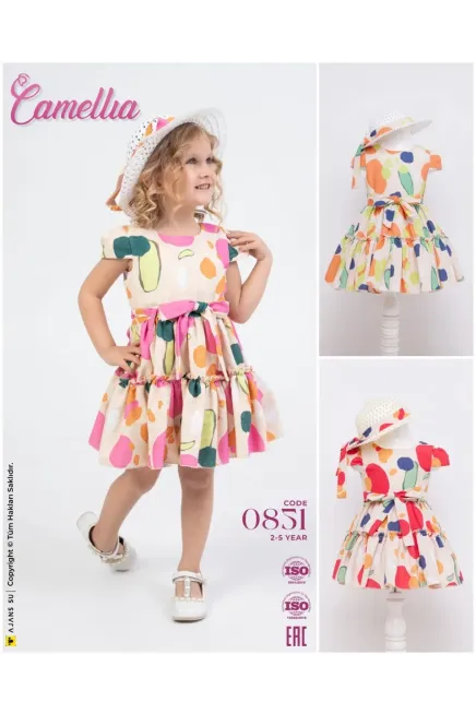 2-5 YEAR Girl Dress