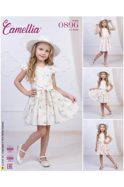 2-5 YEAR Girl Dress