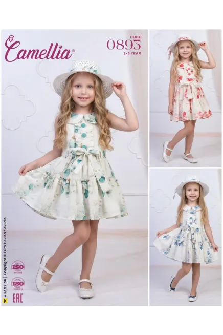 2-5 YEAR Girl Dress