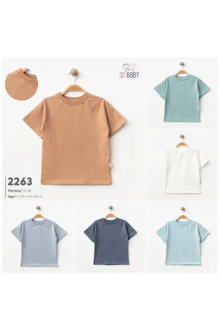 2-6 سنة صبي  تيشرت