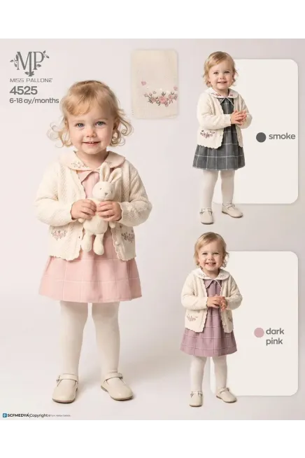 6-18 MONTH Girl DRESS WITH CARDIGAN