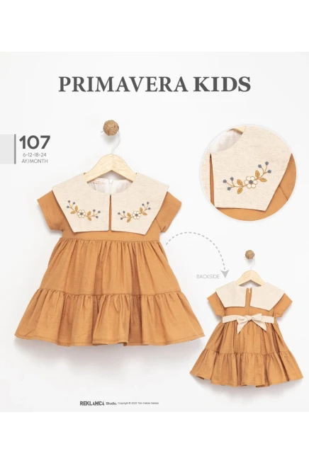 Yakası Nakışlı Elbise