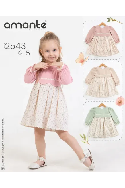 2-5 YEAR Girl Dress