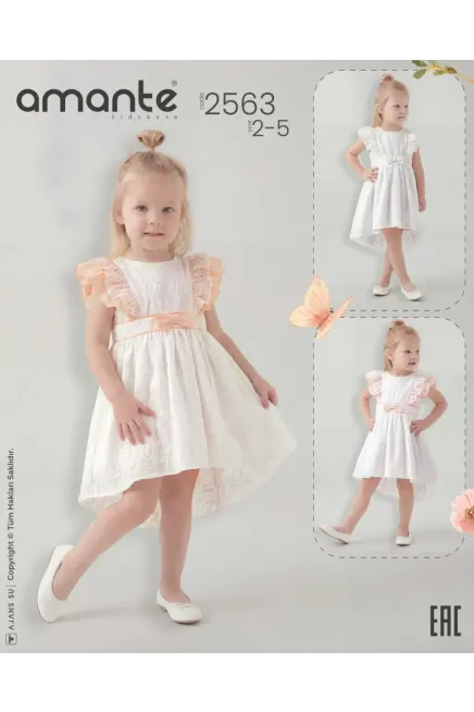 2-5 YEAR Girl Dress
