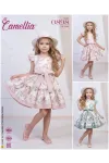 2-5 YEAR Girl Dress