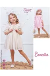 2-5 YEAR Girl Dress